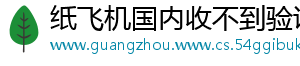 纸飞机国内收不到验证码